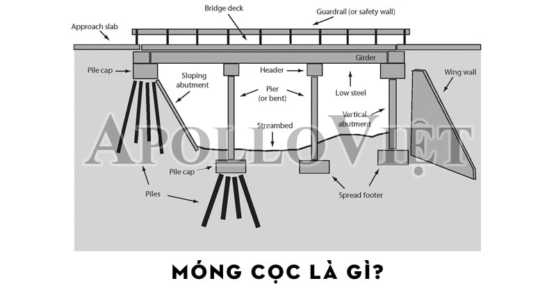 mong-coc-la-gi-1