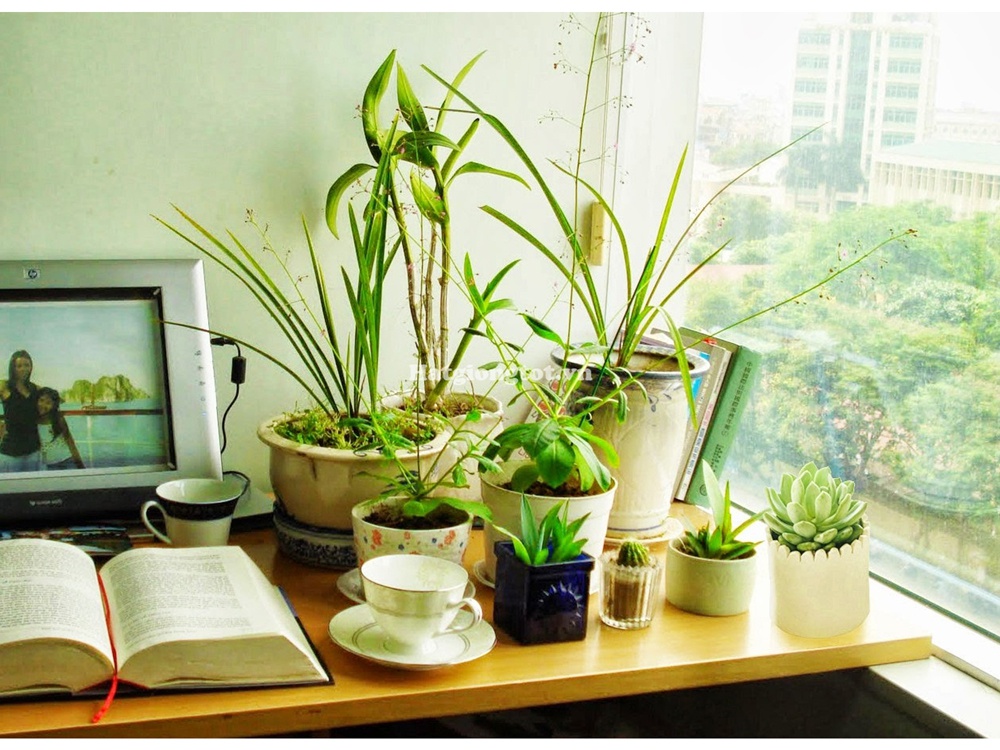 7-loi-phong-thuy-cua-chinh-9